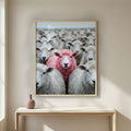 Pink Sheep Flock hero mockup, centred framed pink sheep photo print on a clean neutral wall, thumbnail friendly listing image