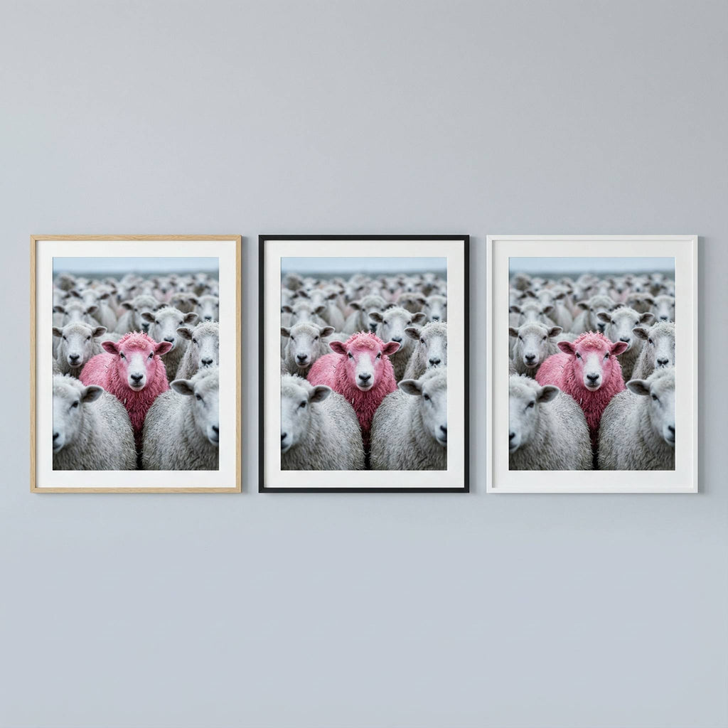 Pink Sheep Flock frame comparison mockup, pink sheep print shown side by side in oak, black and white frames on a neutral wall